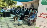 روز مزرعه استانی زوال مرکبات در جنوب کرمان برگزار شد